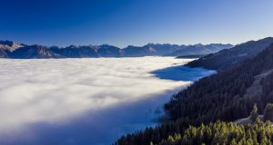 格力电器招募电商运营商有何野心?卢陆群烧起“三把火”-家电圈官网